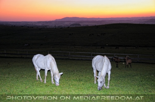 Hemmungslos Liebe 90
