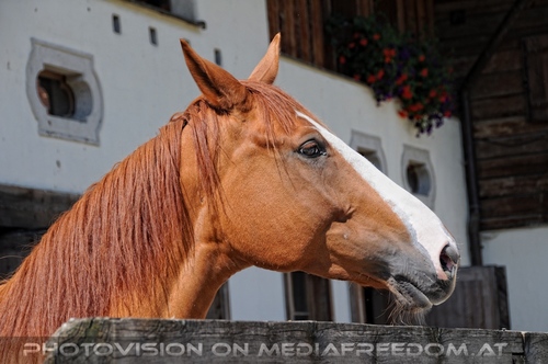 Hemmungslos Liebe 10