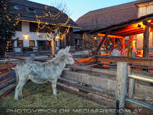 Im Paradies f�r Tiere 62