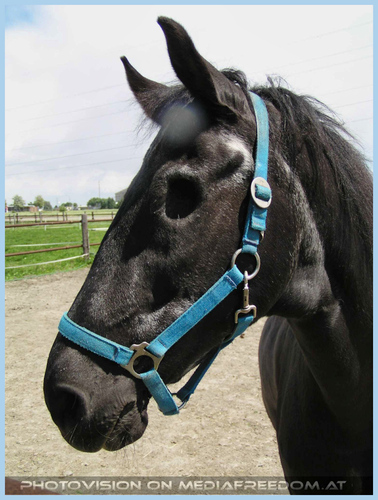 Und ich darf trotzdem leben.