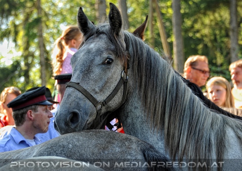 Rast beim Gasthof Wiendl 12