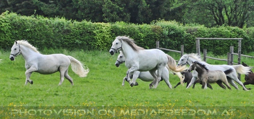 Die Pr�sentation 22