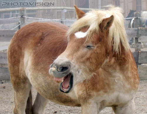 ...ich lach mich schief!