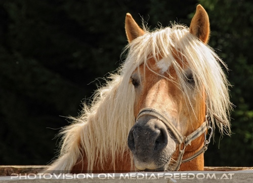 Hemmungslos Liebe 17