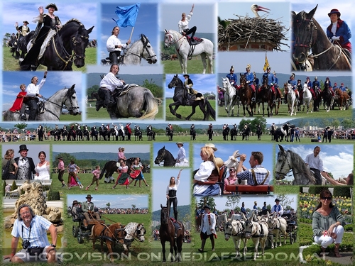 Tierumzug und Musketiere