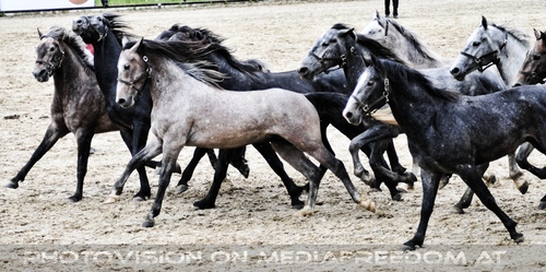 Die Pr�sentation 15