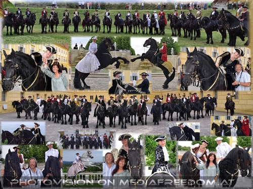 Dream Moments in Black: Moments in Black, Barbara Fiona Simon, Charly Swoboda, Eva D.