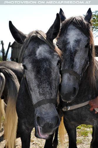 Rast beim Gasthof Wiendl 22