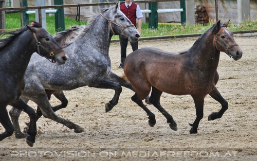 Die Pr�sentation 11