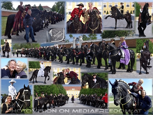 Special Moments in Black