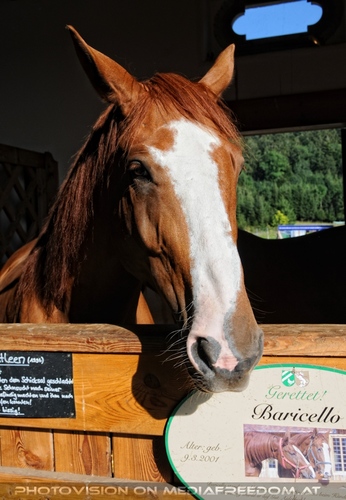 Hemmungslos Liebe 46