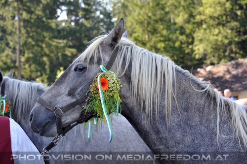 Schm�ckung beim Gasthof Wiendl 07