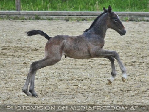 Die Pr�sentation 02