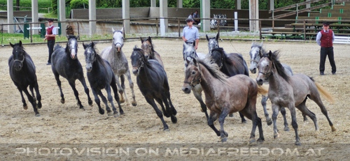 Die Pr�sentation 14