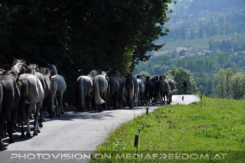 Nach Maria Lankowitz 02