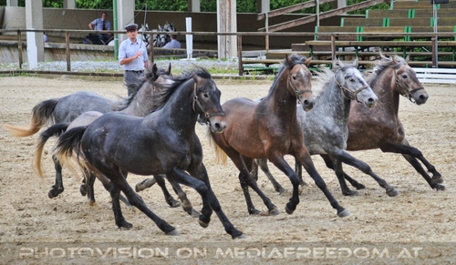 Die Pr�sentation 12