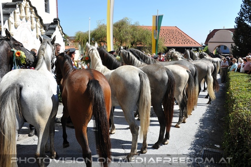 Pferde Segnung in Maria Lankowitz 02