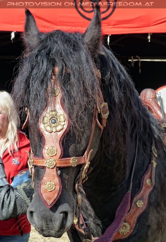 Das Ritterturnier 32