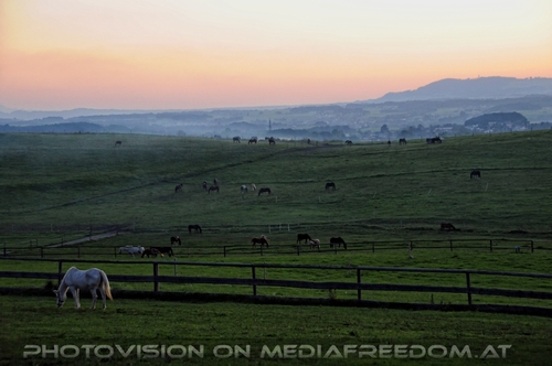 Hemmungslos Liebe 82