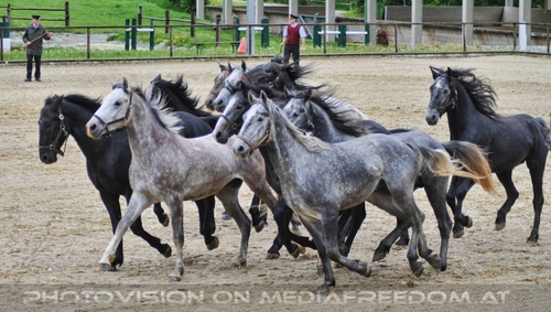 Die Pr�sentation 09