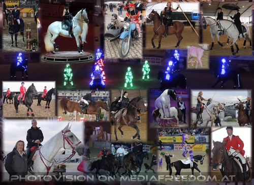 25 Jahre Apropos Pferd