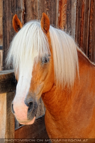 Hemmungslos Liebe 07