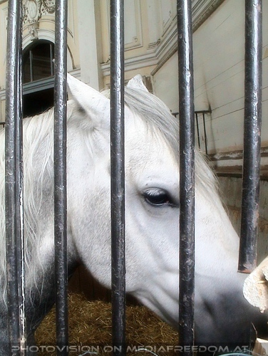 Das alte Sommerquartier 05