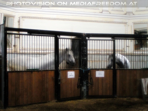 Das alte Sommerquartier 06