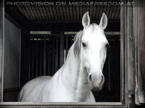 Das alte Sommerquartier 14