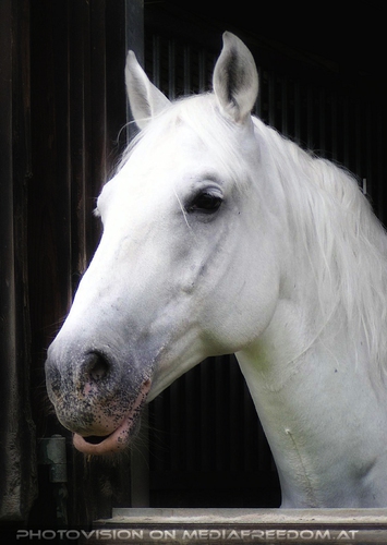 Das alte Sommerquartier 23