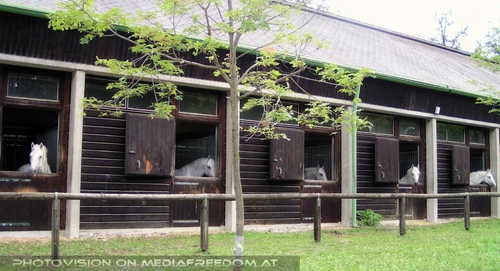 Das alte Sommerquartier 33