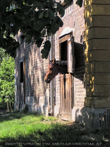 Die alten Stallungen 18