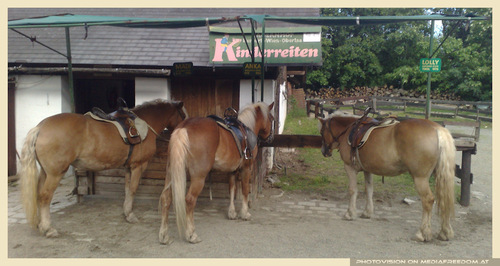 Ah ja doch auf den Pferden....