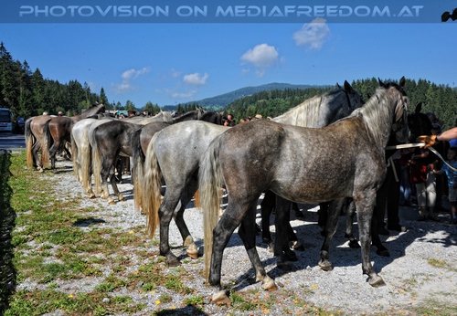 Rast beim Gasthof Wiendl 11