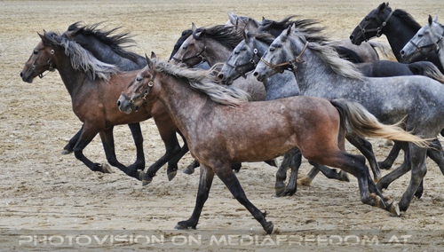 Die Pr�sentation 13