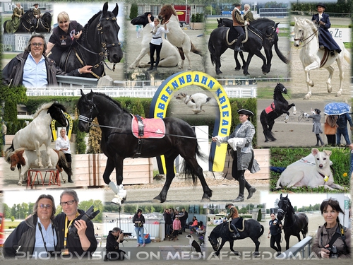 Event f�r Pferde und Hundefreunde