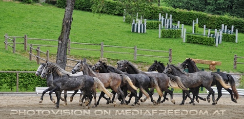 Die Pr�sentationen 28