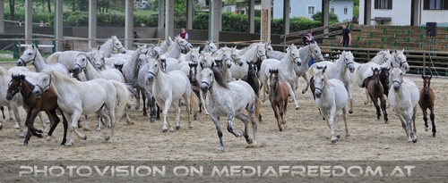 Die Pr�sentationen 59