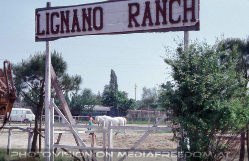 Ranch 1