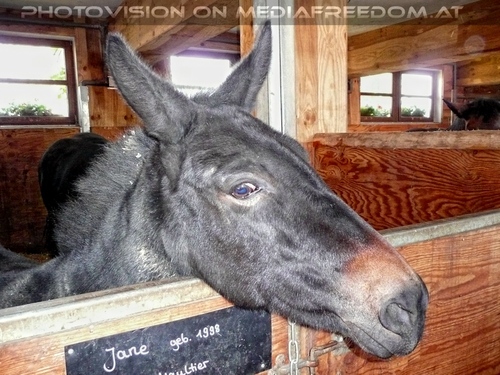 Tierparadies Deggendorf 24