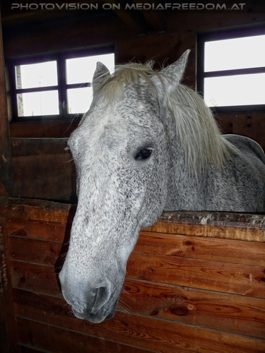 Tierparadies Deggendorf 32