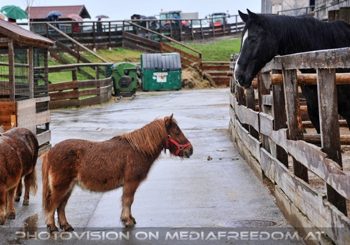 Patentreffen Bild 08