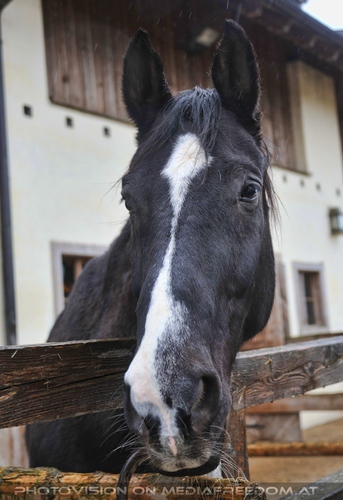 Patentreffen Bild 10