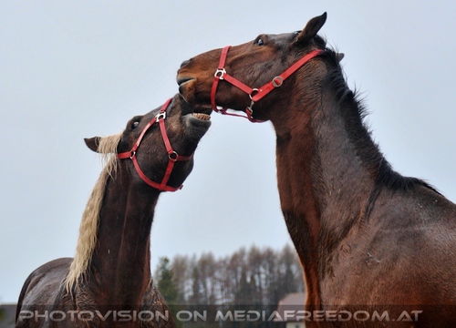 Patentreffen Bild 13