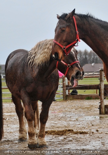 Patentreffen Bild 14