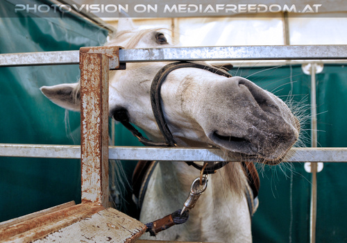 Fantasievolle Welt 16