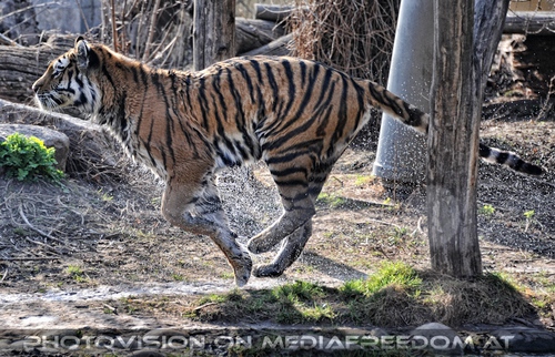 Start aus dem Wasser