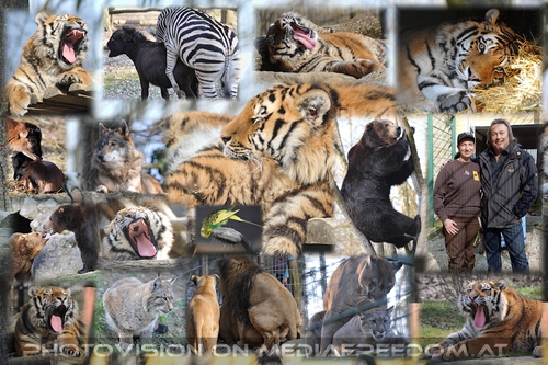 Vorfr�hlingserwachen: Elke M�hlbauer,Charly Swoboda