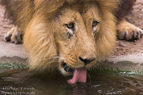 Direkt nach der F�tterung