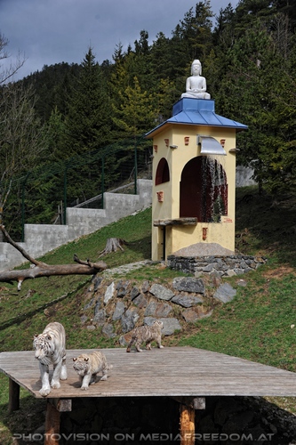 Reich der wei�en Tiger Drillinge 18